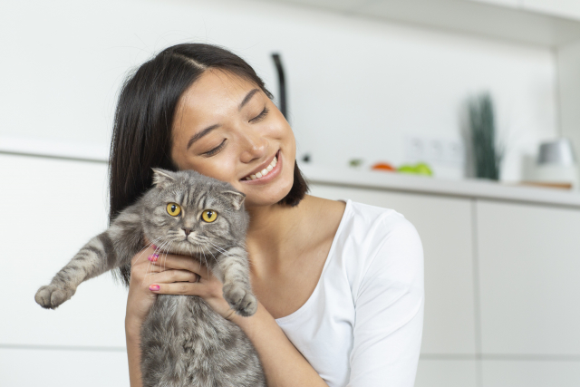 抱きかかえられる猫